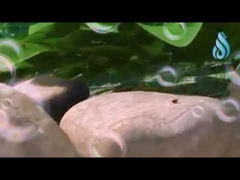 The world's shortest film. It is only 1:30 seconds.