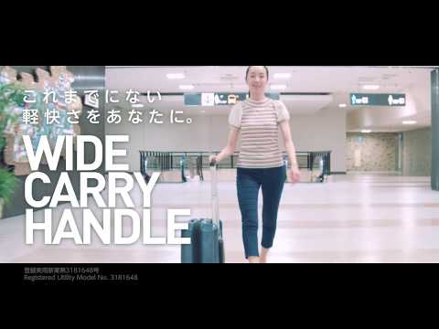 WIDE CARRY HANDLE