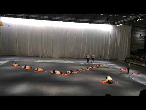 Azerbaijani gymnasts at 15th World Gymnaestrada 2015 Helsinki