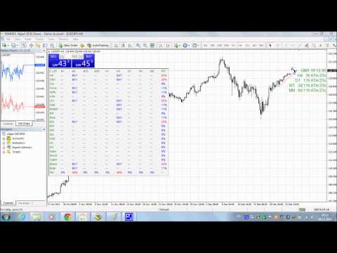 Video Bulls CD LBT Global