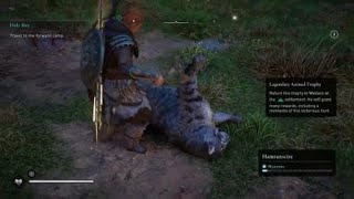 Assassin's Creed Valhalla: Legendary Animal: Wildcats Of The Weald - Defeating Elder/Young Lynx