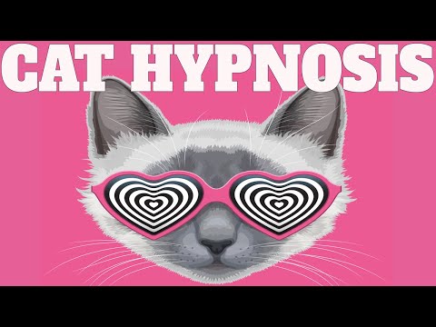 Sound To Calm Cats Within Minutes | Cat Hypnosis