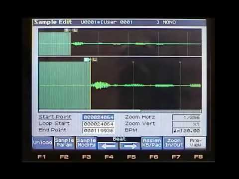 FantomX Sampling 3 Sample Inputs and Rec