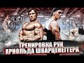 МОЩНАЯ Тренировка Рук Арнольда Шварценеггера (Трицепс Бицепс)