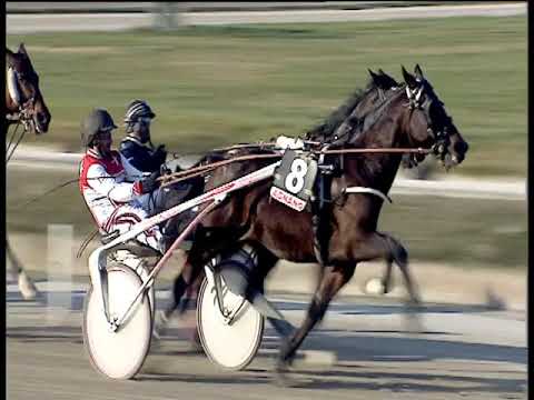 Trotto 17/01/2020 - 2ª corsa