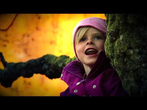 Vår Gud Er Så Stor - Misc Praise Songs