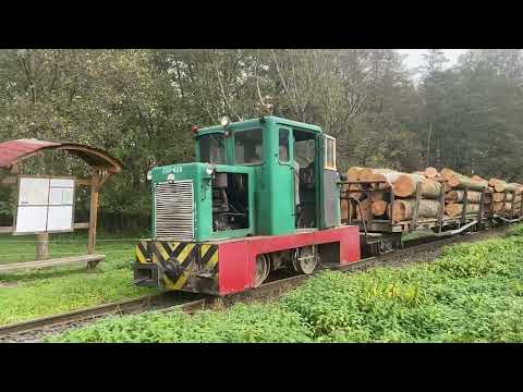 Waldbahn Lenti und Csömöder im Oktober 2022