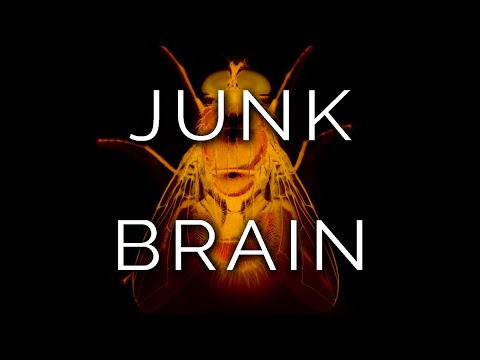 1095-IT ÂME, JUNK BRAIN - Ipnosi Esoterica ∞ Lucio Carsi