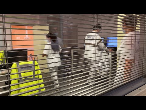 Les internes : les médecins de demain