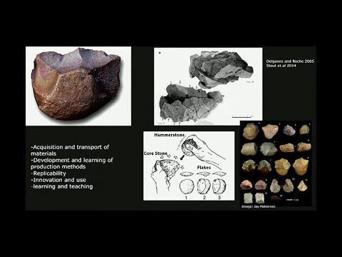 CARTA: Imaginación: Agustín Fuentes - Cómo la imaginación y la creatividad transformaron la evolu...