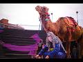 Mowgli BALLA Prod Ot Karmoz Official Video
