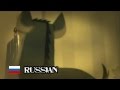 The Lion King We Ll Soon Be Connected One Line Multilanguage