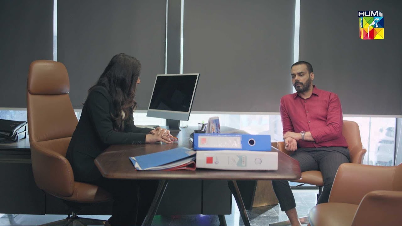 Agar Zarnaab Ke Hath Saboot Lagy Toh Tumhari Khair Nahi..! #goonj - HUM TV