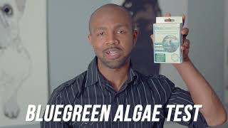 5Strands BlueGreen Algae Test