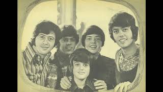 He Ain't Heavy, He's My Brother - Osmonds