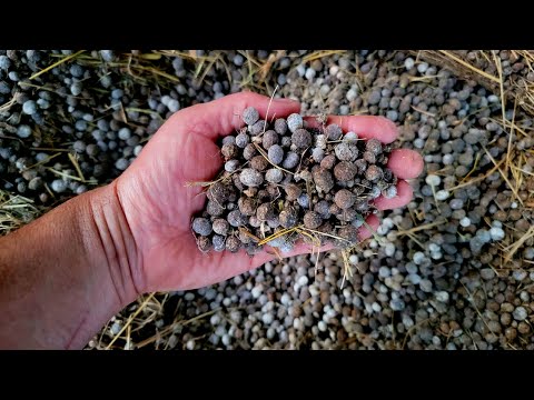 YouTube video about: How to package rabbit manure to sell?