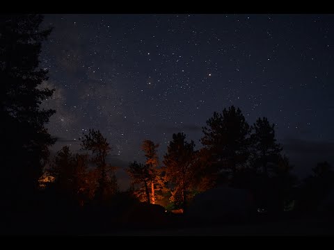 female acapella cover | woe to the people of order - youphoria