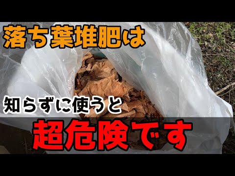 枯れ葉をリサイクルする 5 つのアイデア