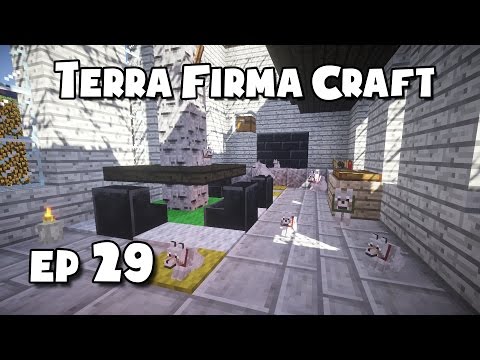 TerraFirmaCraft - #29 - Puppies + Dining Room