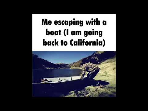 hawaii part ii but it’s discord gifs