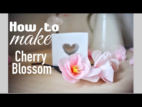 How to make paper flower : Sakura (Cherry Blossom)