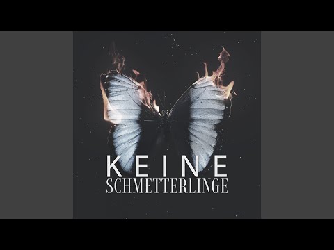 Keine Schmetterlinge
