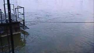 kispál és a borz - hullám tanulmány