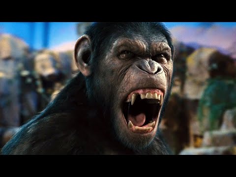 Caesar Says No | Prison Break Scene | Rise of the Planet of the Apes 2011 Movie Clip HD