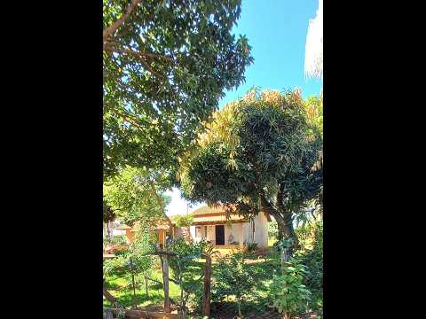 Chacara a venda em São Jeronimo da serra, próximo a Londrina PR