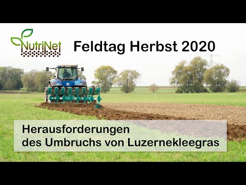 Herausforderungen beim Umbruch von Luzernekleegras