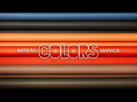 ELVIS - MARACA ( BATIDÃO IN COLORS )