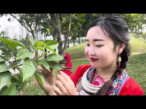 Niam Dej Dag cove -Ntsig Hawj