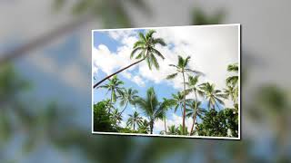 Why Don&#39;t We Try Again [piano/vocal] (Brian May cover/tribute)