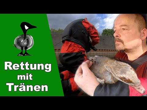 Animal rescue with tears - Animal emergency call #301