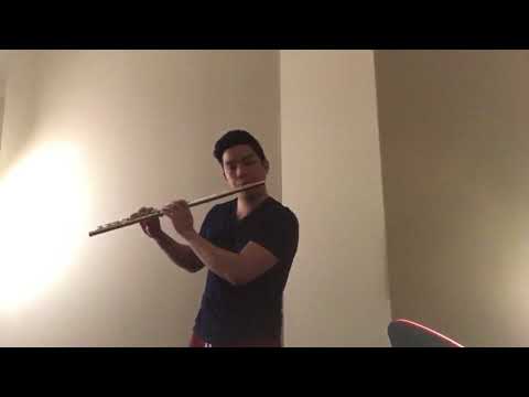 Demi Lovato - Stone Cold - Flute Cover