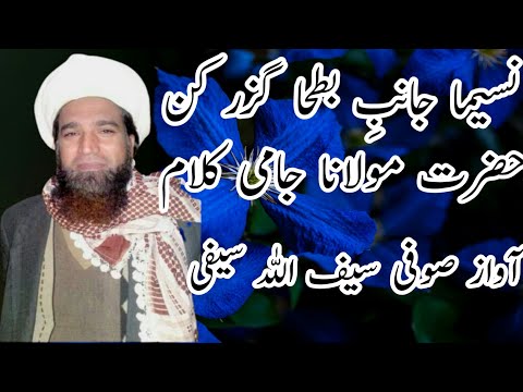 Naseema Janib e batha Guzar Kun || Sufi Saifullah Saifi Naat || Waqia Abdul Rehman Jami