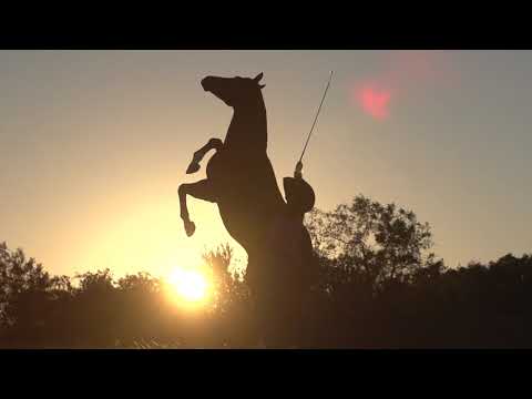 Clinton Anderson Clinician Academy