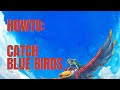 How To Actually Catch A Blue Bird In Skyward Sword HD