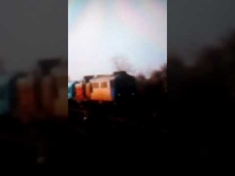 P4338 Satu Mare Oradea lângă depoul Oradea. (04.08.2009).