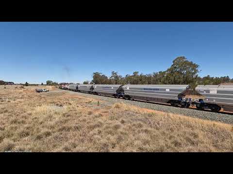 C501 & 4811 Gunningbland West NSW.  Mon 29th Dec 2025
