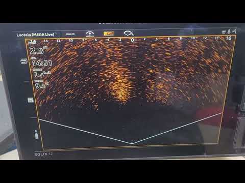 Humminbird Mega Live