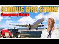 A330 Freighter Suffers Dual Bird Ingestion After Takeoff | Captain Steeeve