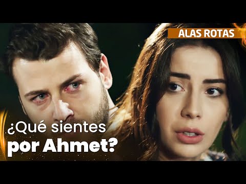 Onur le pregunta a Zeynep sobre sus sentimientos por Ahmet - Alas Rotas | Kanatsiz Kuslar