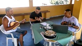 MELO DA GALINHA - DICRÓ