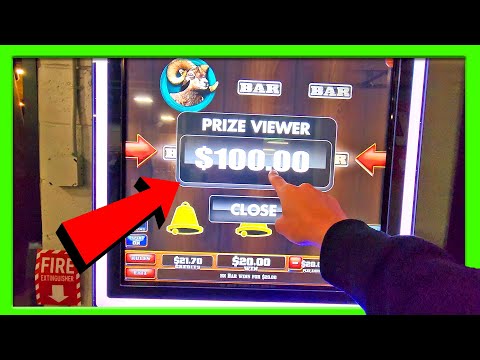 BIGGEST Free Money Win EVER on a PA Skill Slot Machine AS IT HAPPENS!