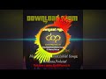 Chogada Tara Song Dj