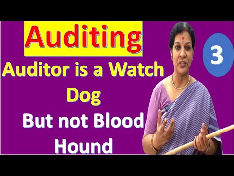 1 Auditing Subject Introduction Class