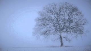 David McLorren - Christmas Snow   *k~kat jazz café*  The Smoothjazz Loft