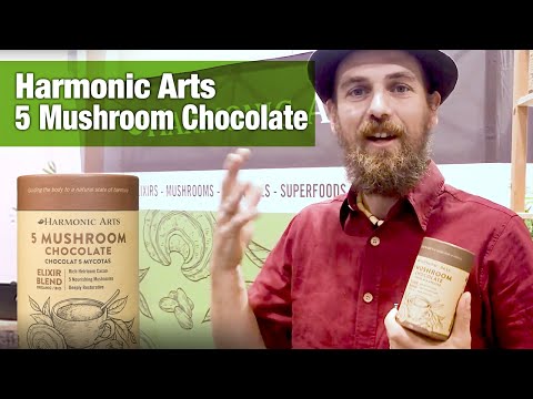 Lion’s Mane: A Mushroom For Cognitive Health