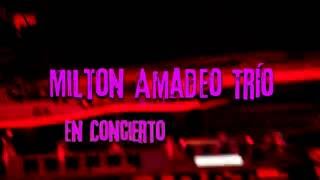 Milton Amadeo Trío - en concierto - 2016